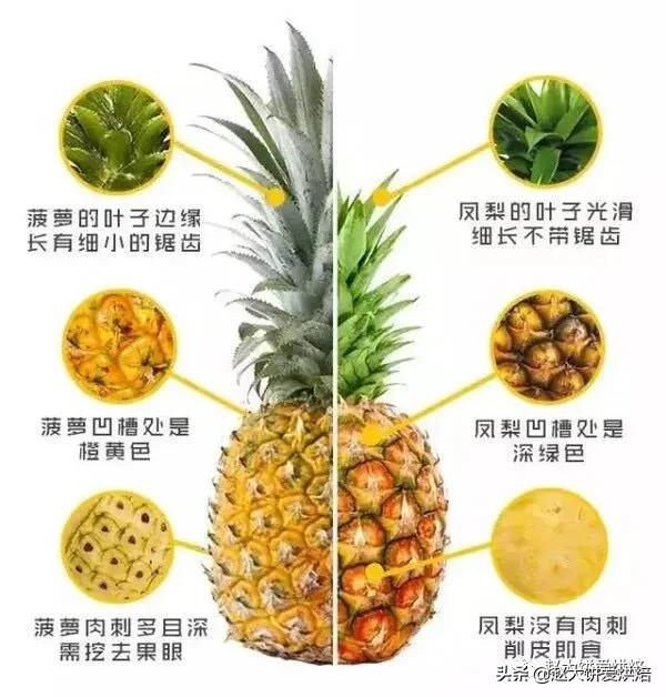 在家怎么做凤梨酥,纯手工制作凤梨酥卖多少钱