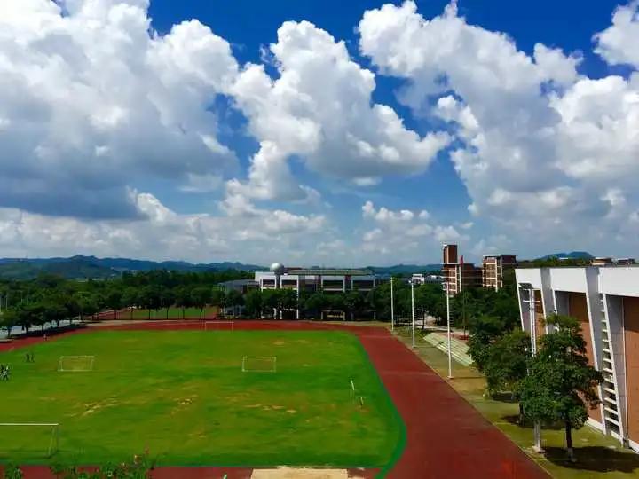 松山湖中心小学六大特色,东莞市高中六大校