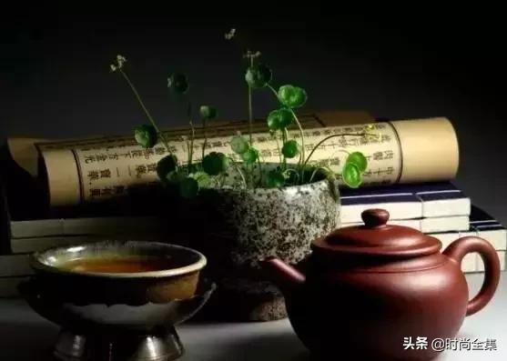 伍佰艺沉香集团,最好的沉香哪里产的