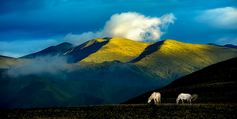 川西环线秋季摄影团,川西秋色摄影之旅