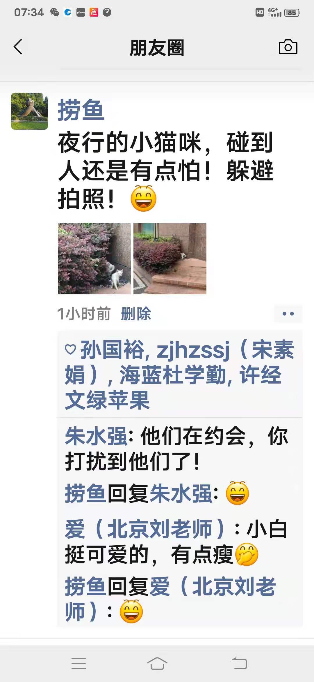 捞鱼是用什么药,捞鱼检疫