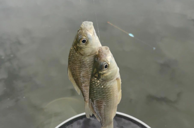 一旦走漂，我就只服这应对策略，百试百灵，知道的人肯定不简单