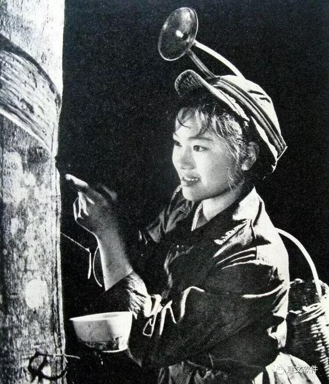 海南天然橡胶业,海南农垦有几个橡胶加工厂