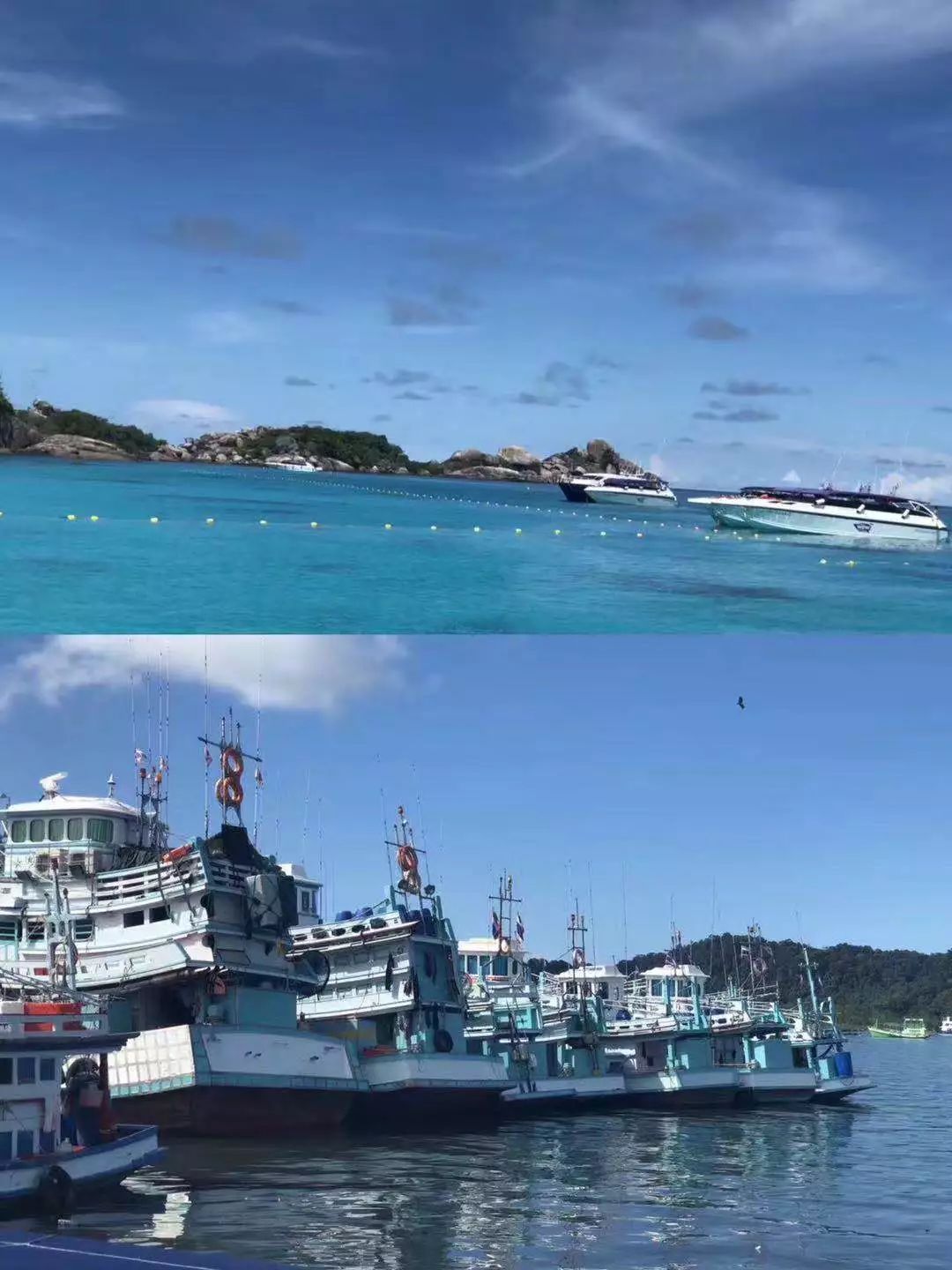 探店新年美照,探店好看的衣服都在这里