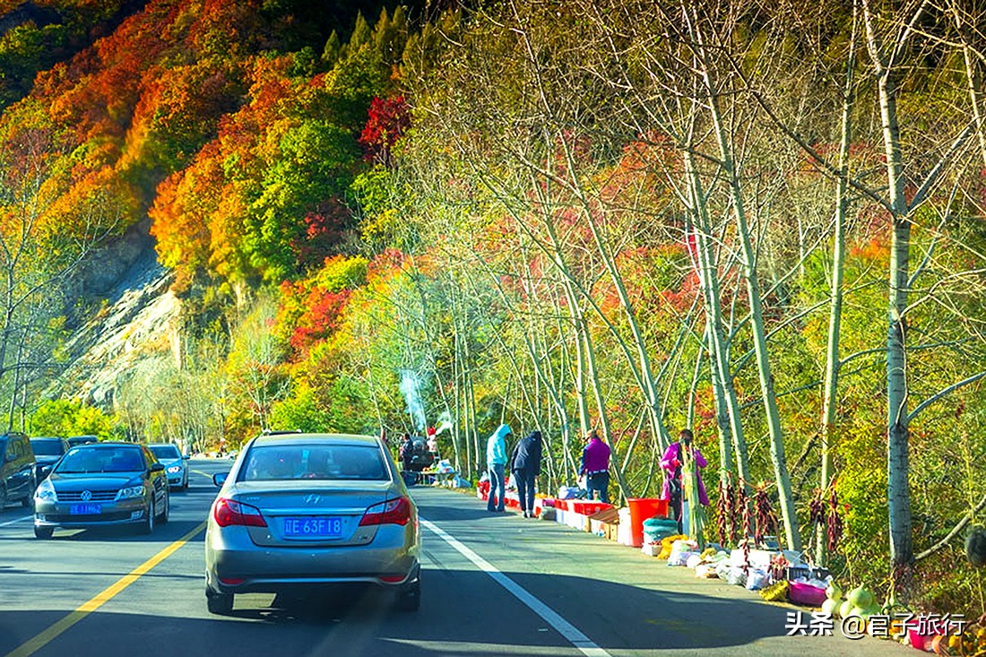 中华枫叶之路自驾游攻略,中华枫叶大道自驾游路线