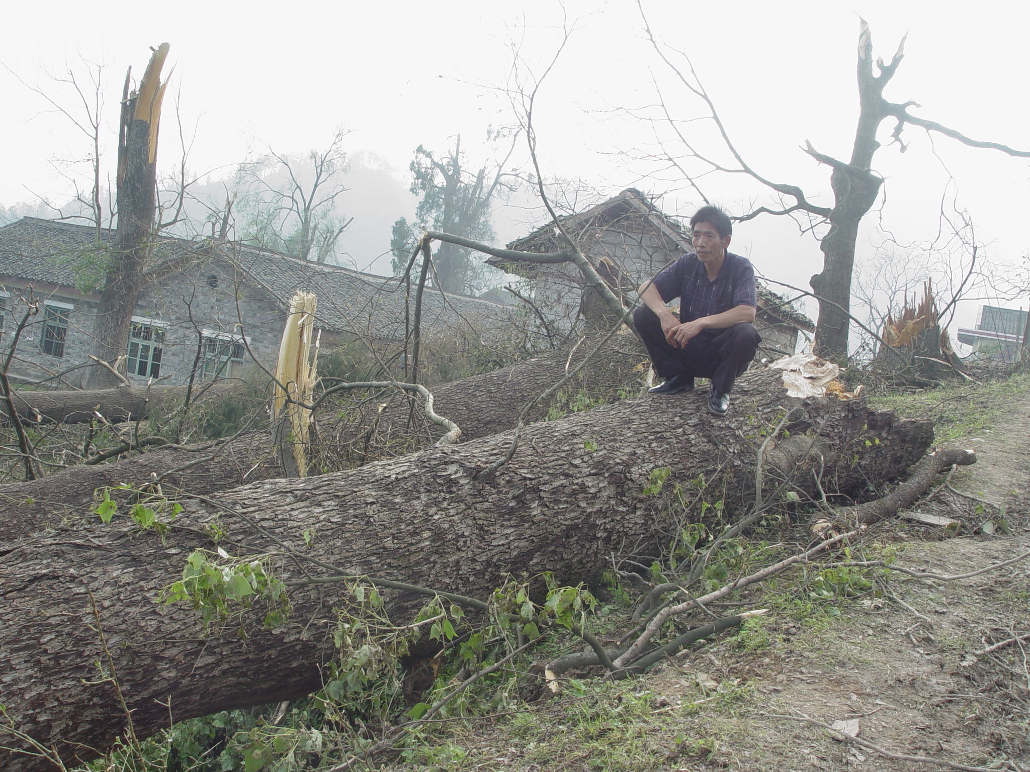 1945年,晃县桓胆霍乱流行,两兄弟用侗医扑灭恶疾“老鼠窜皮”