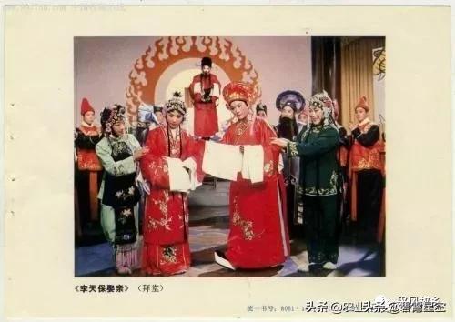 故事三岔口,三岔口故事结局