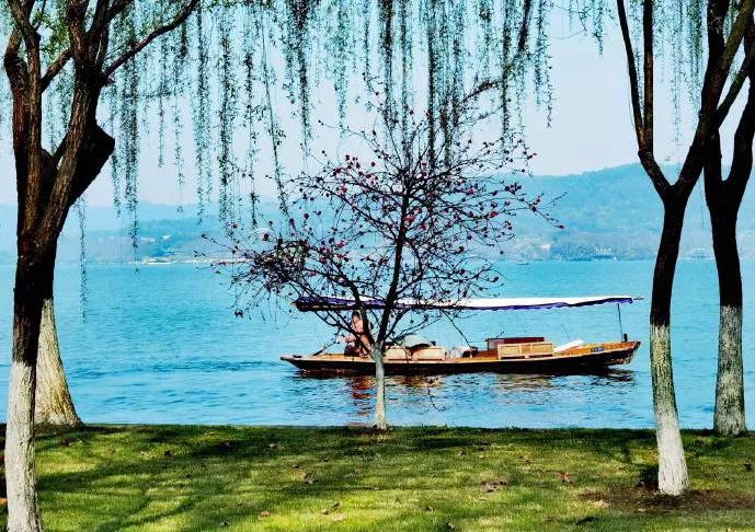 贺知章古诗《咏柳》赏析,咏柳贺知章古诗背诵