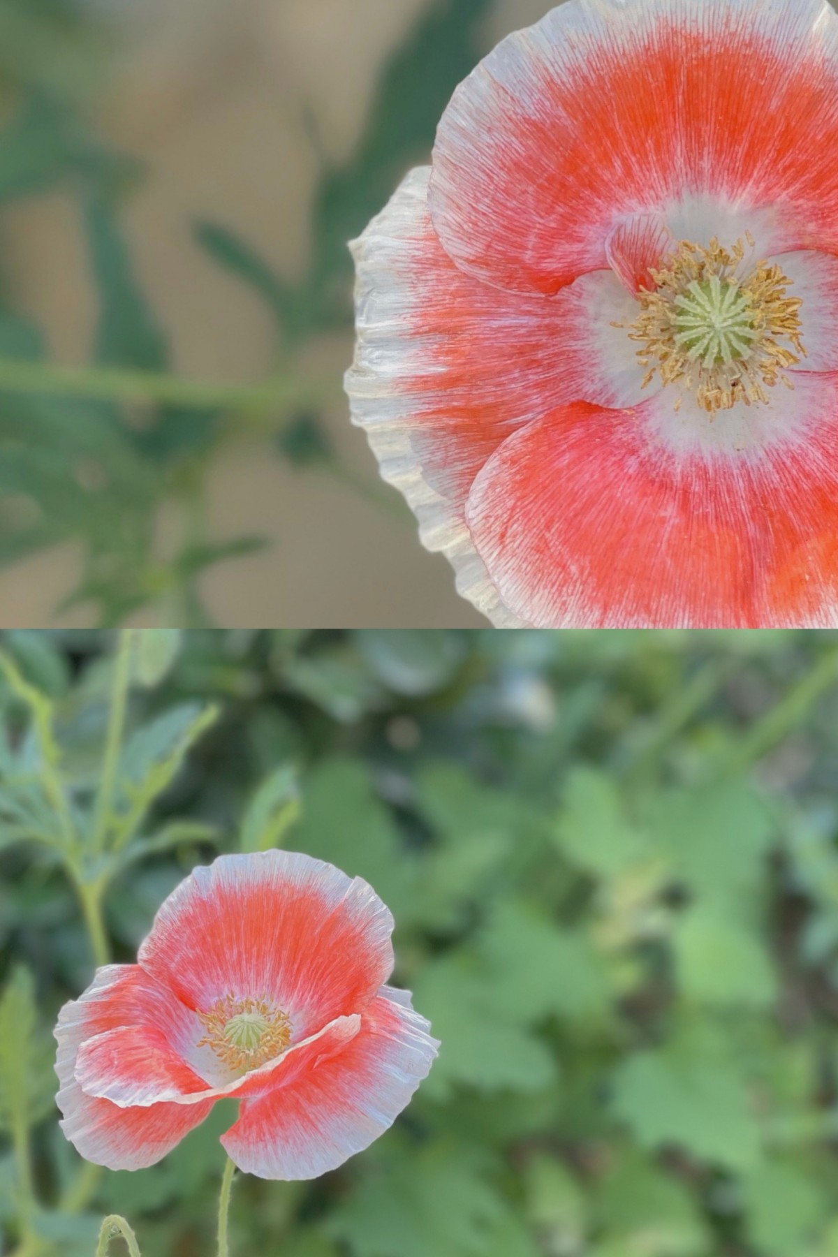 裙装慵懒风长裙,裙装慵懒文艺