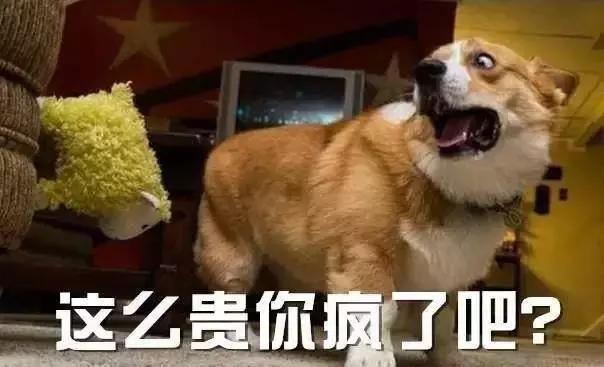 心酸：“看个医生要排队2年，我被活活拖成癌症晚期”