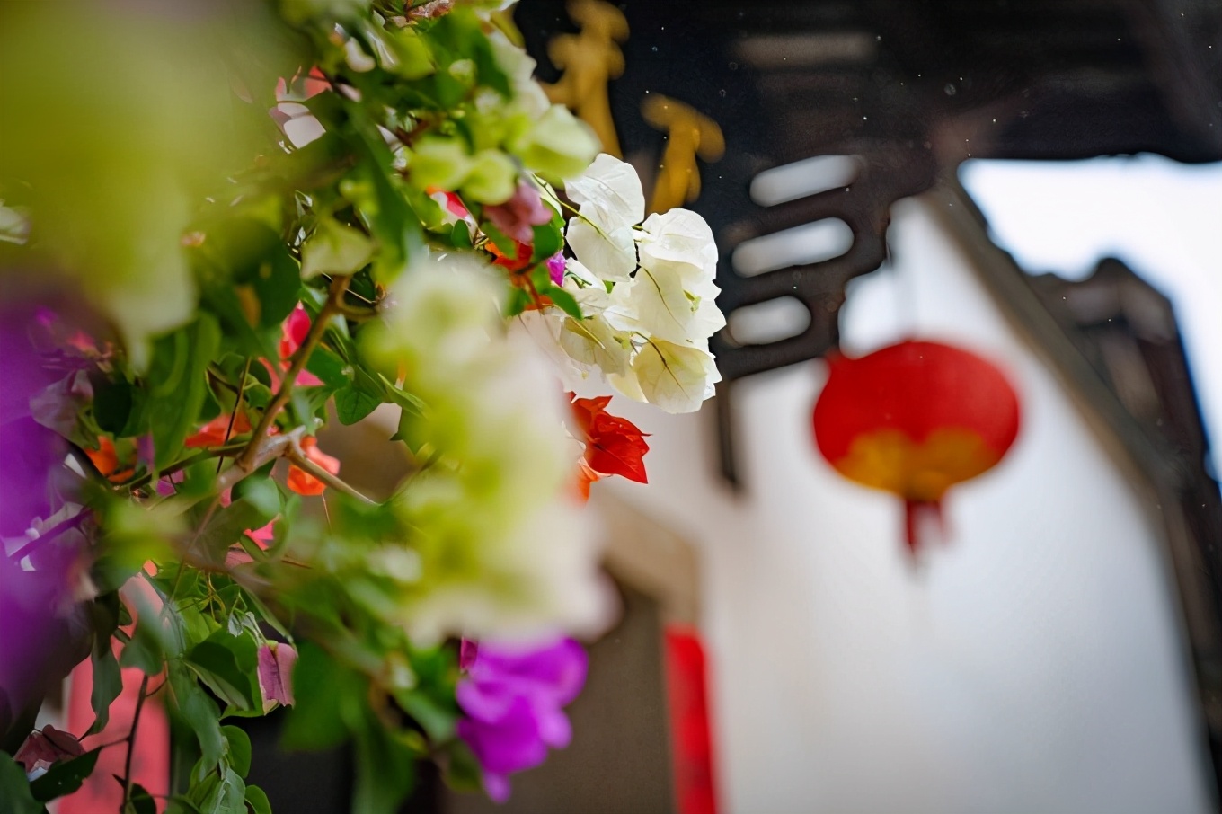 福州7日游的最佳攻略,福州一日游最佳方案旅游攻略