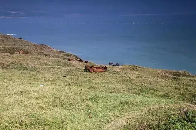福建小垦丁镇海角图片,镇海角小垦丁视频素材