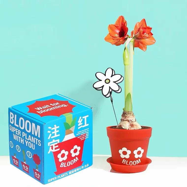 500预算送什么礼物,七夕情人节礼物性价比高又好用