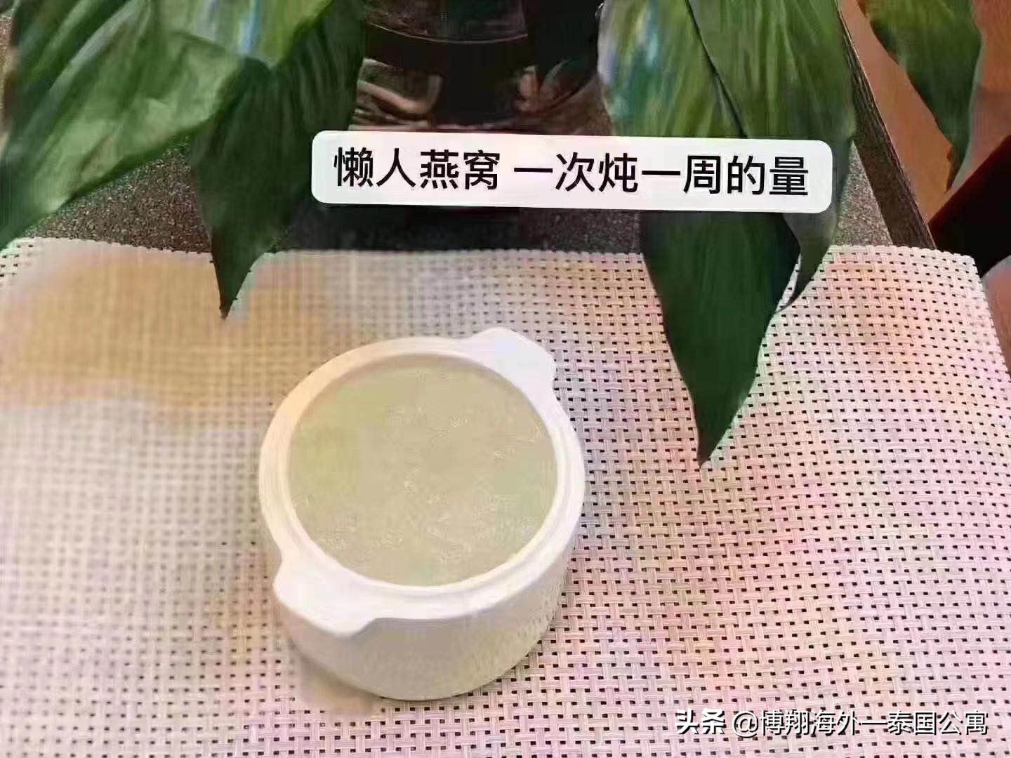 泰国燕窝和马来西亚哪个好,泰国燕窝马来燕窝外表差别