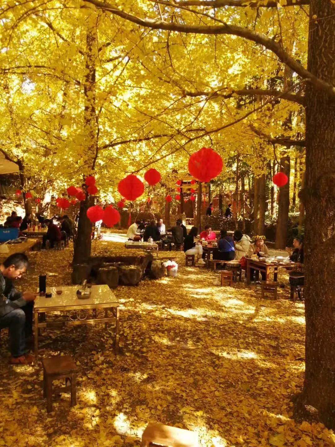 一家三口在大理租房,一家三口的田园生活