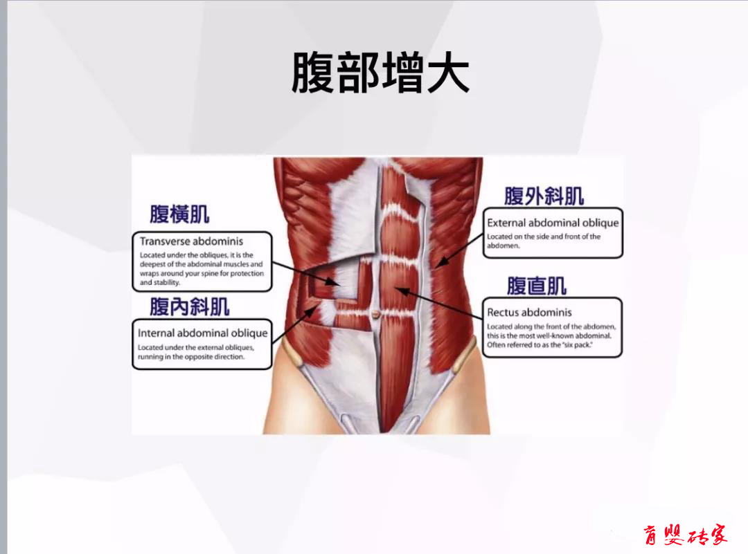 孕妇怎么避免腹直肌分离,孕妇腹直肌分离自测