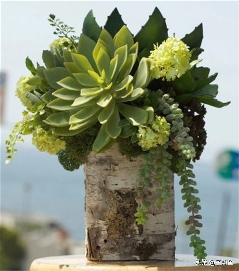 了解金牛座女朋友,一分钟了解金牛座