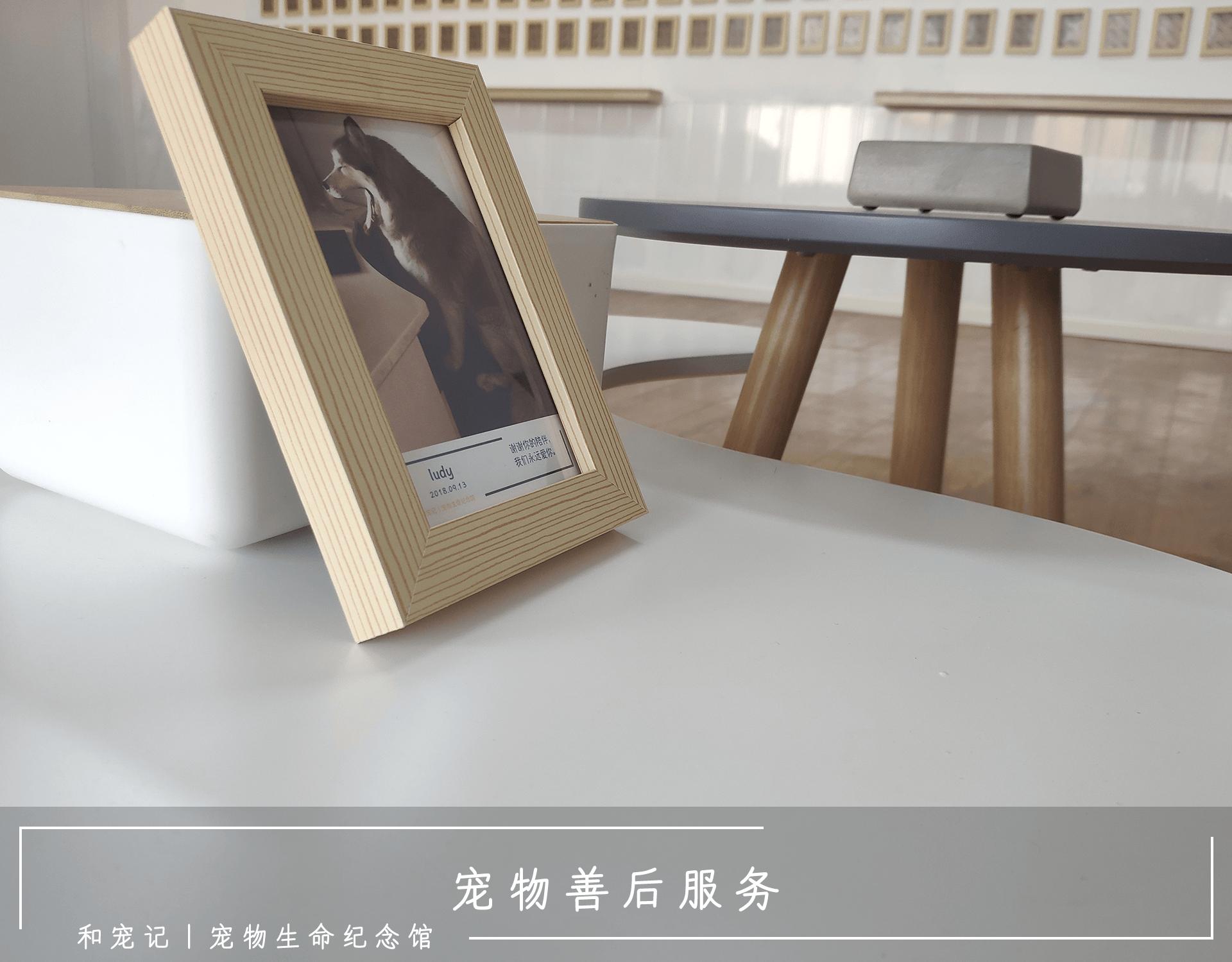 猫咪眼睛流泪有脓性分泌物怎么治,猫上火眼睛分泌物过多会自愈么