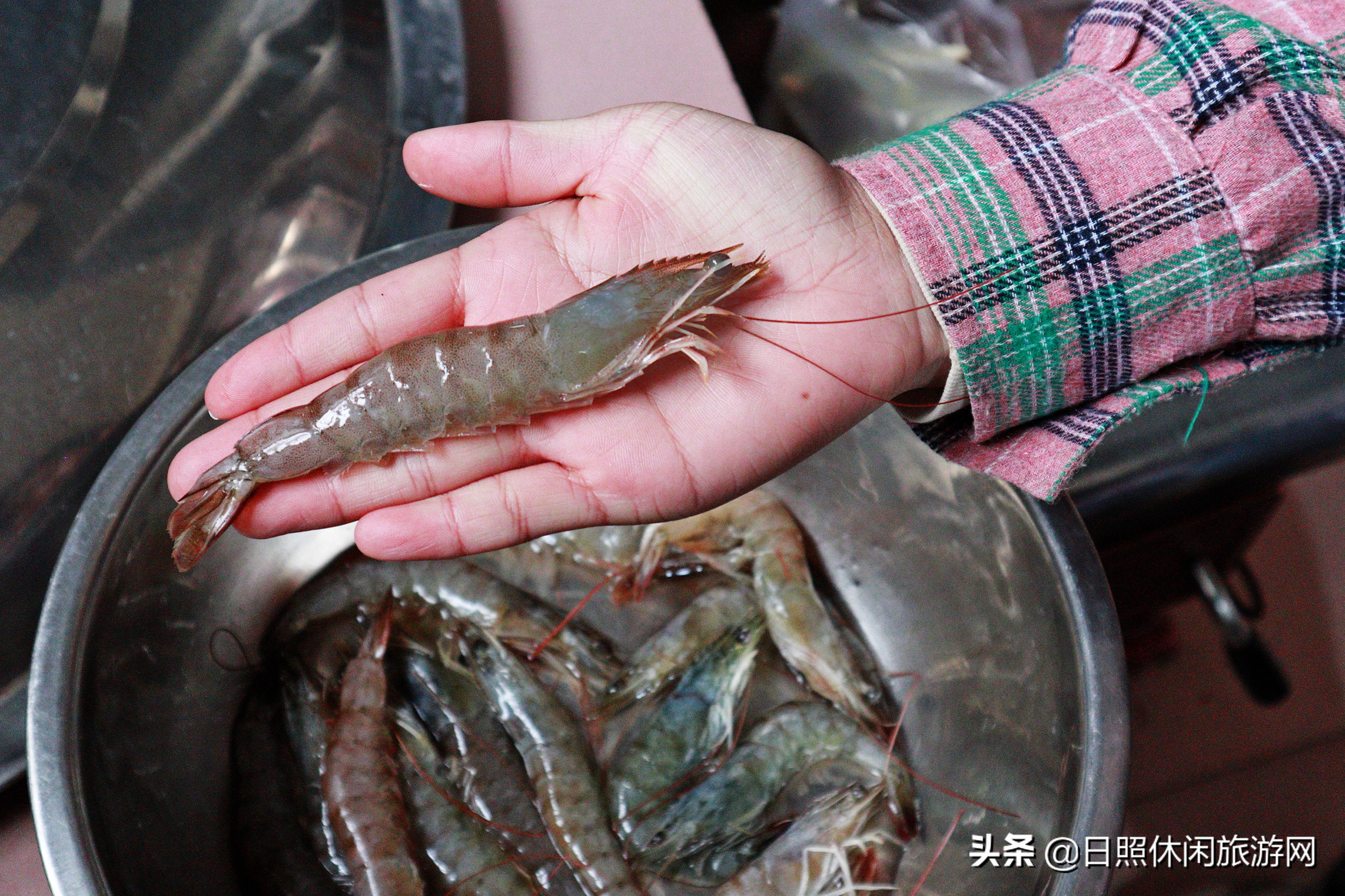 山东日照旅游4-5天详细攻略,去日照旅游应该住在哪里方便游玩