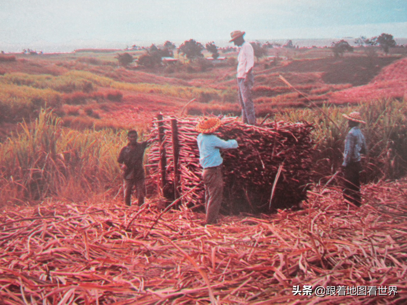 斐济为什么这么多印度人,斐济与南太平洋