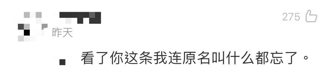 《在下张飞有何贵干》，日式四大名著的名字太有内味了