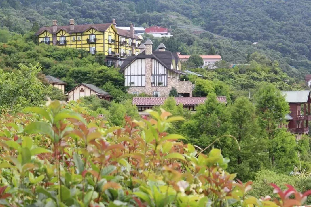 台湾文创标杆——清境农场!