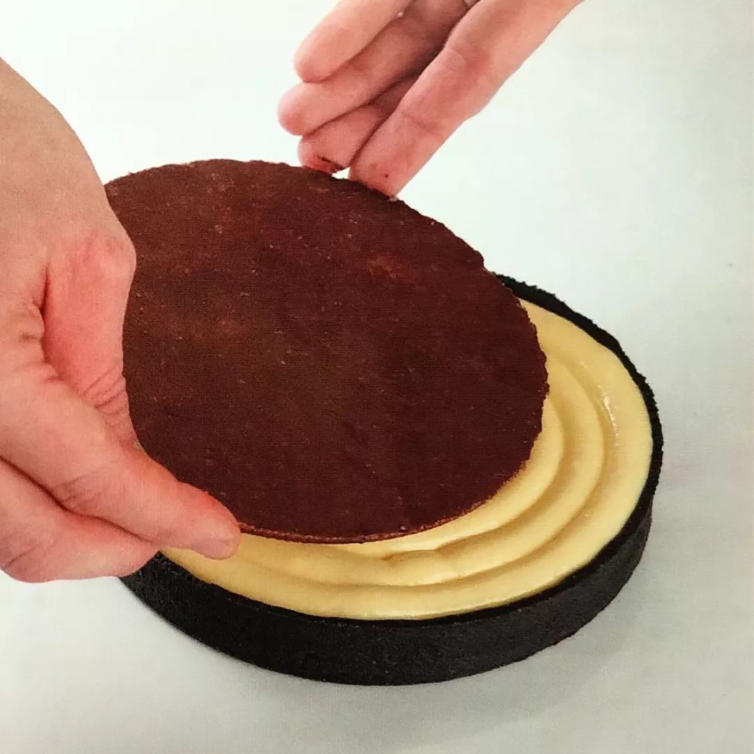 蜂蜜挞——一只小蜜轰，灰到发丛中