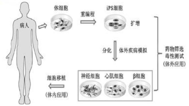 3d打印3种核心技术,3d打印器官最前沿技术