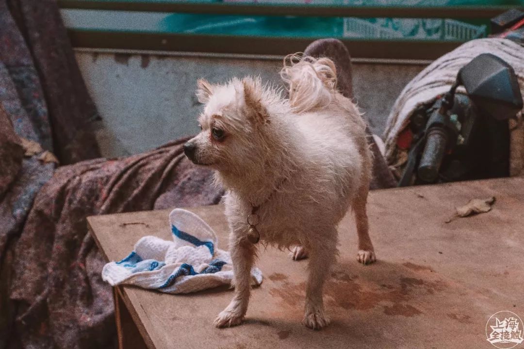 老西门上海记忆,别了老街原唱完整版