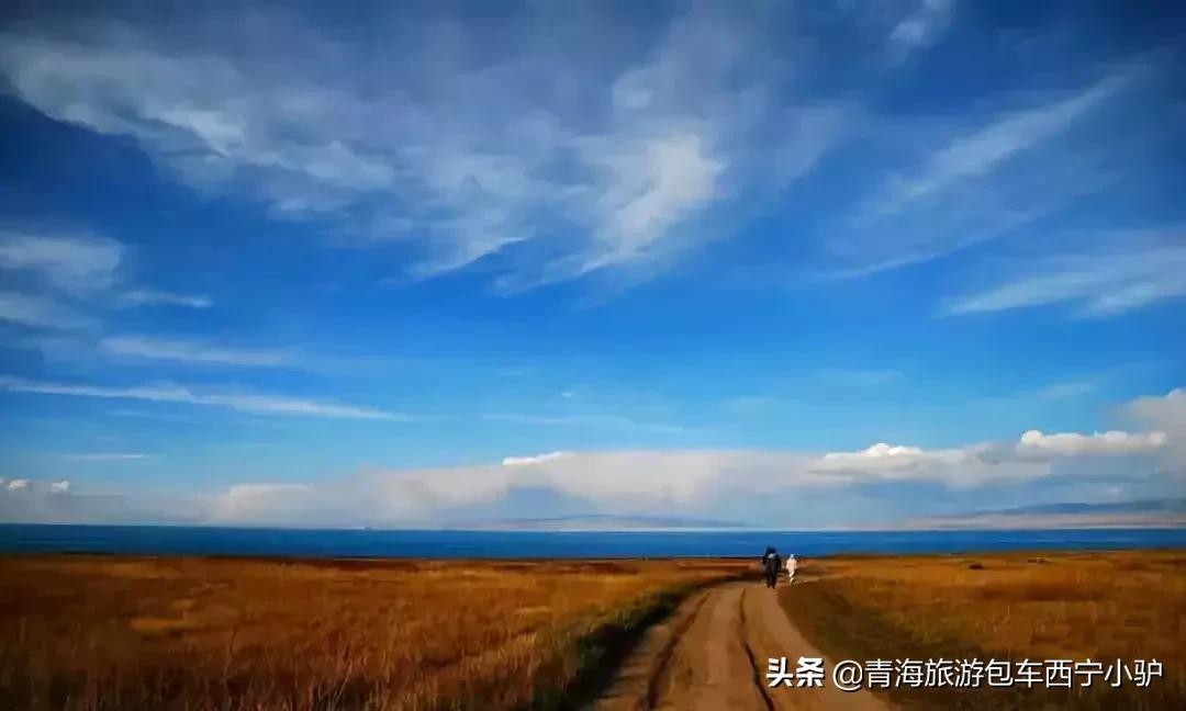 青海旅游注意事项,青海旅游注意事项儿童