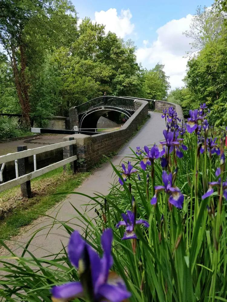 伦敦六月小说,六月的伦敦什么季节