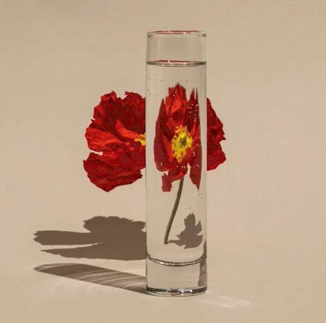 宅宅的风格拍照,绝美宅家拍照教程秒get氛围感照片