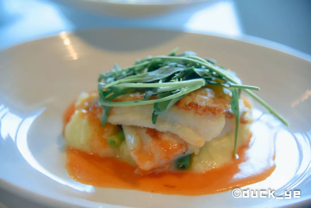 黄晓明皇家加勒比海洋光谱号,海洋光谱号黄晓明杨颖