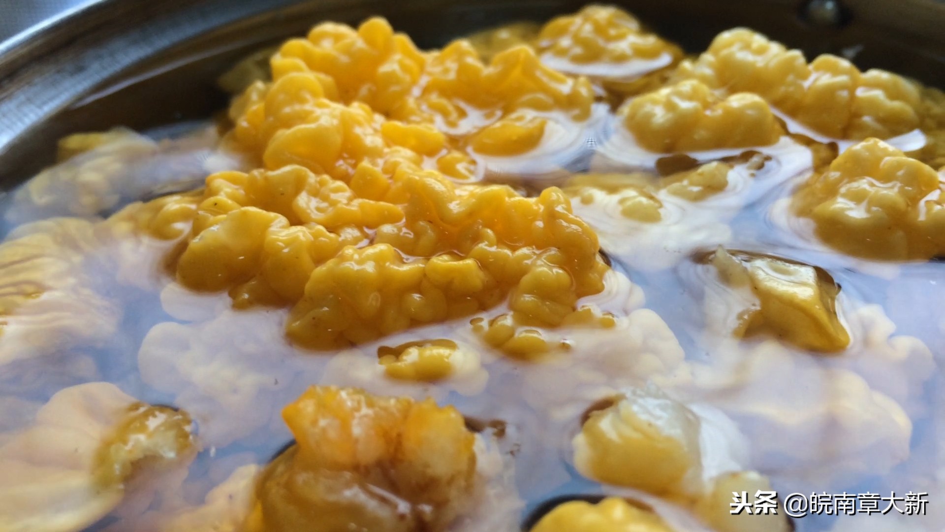 野生金耳和种植的金耳有什么区别,金耳炖汤需要炖多久