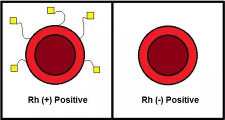 低温治疗的持续时间,低温疗法降温要求