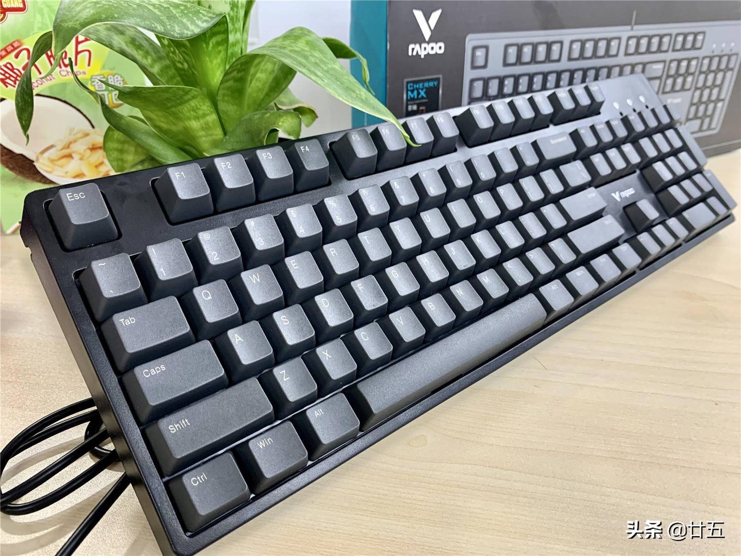 雷柏键盘黑轴茶轴怎么选,办公打字最舒服的雷柏v500pro键盘