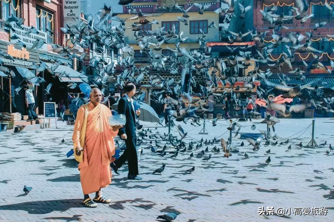 iphone11跟11对比,苹果11有什么好玩的