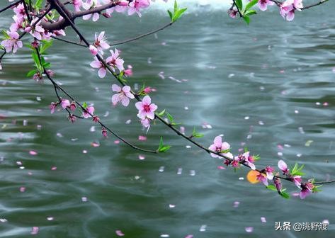 上联一日情深求下联,上联一寸相思一寸泪如何对下联