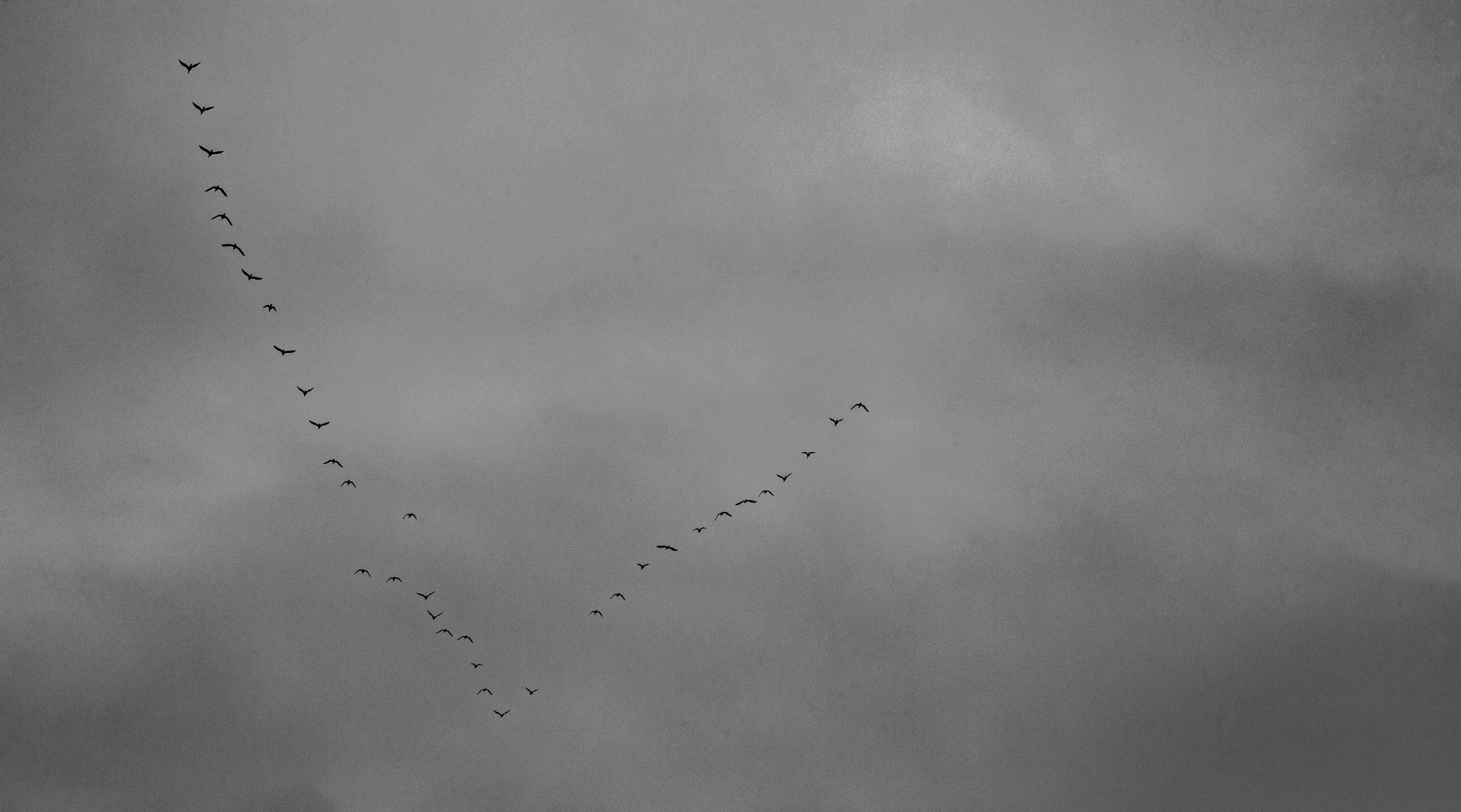 新手小白如何拍出好的摄影作品,如何拍出艺术气息的景