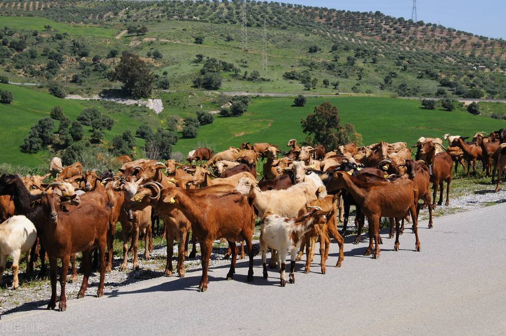 原创中短篇小说连载，浮生情絮——影下灯,立春