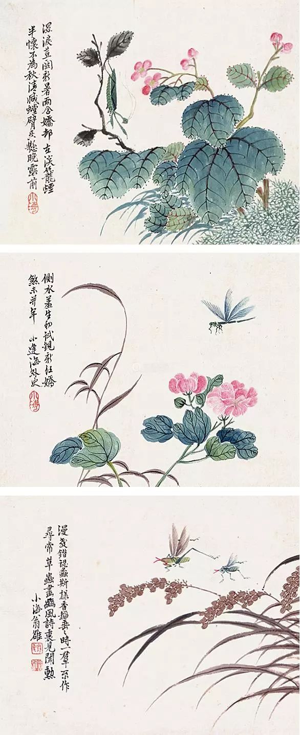 清代花鸟鱼虫画,清代国画名家花鸟鱼虫