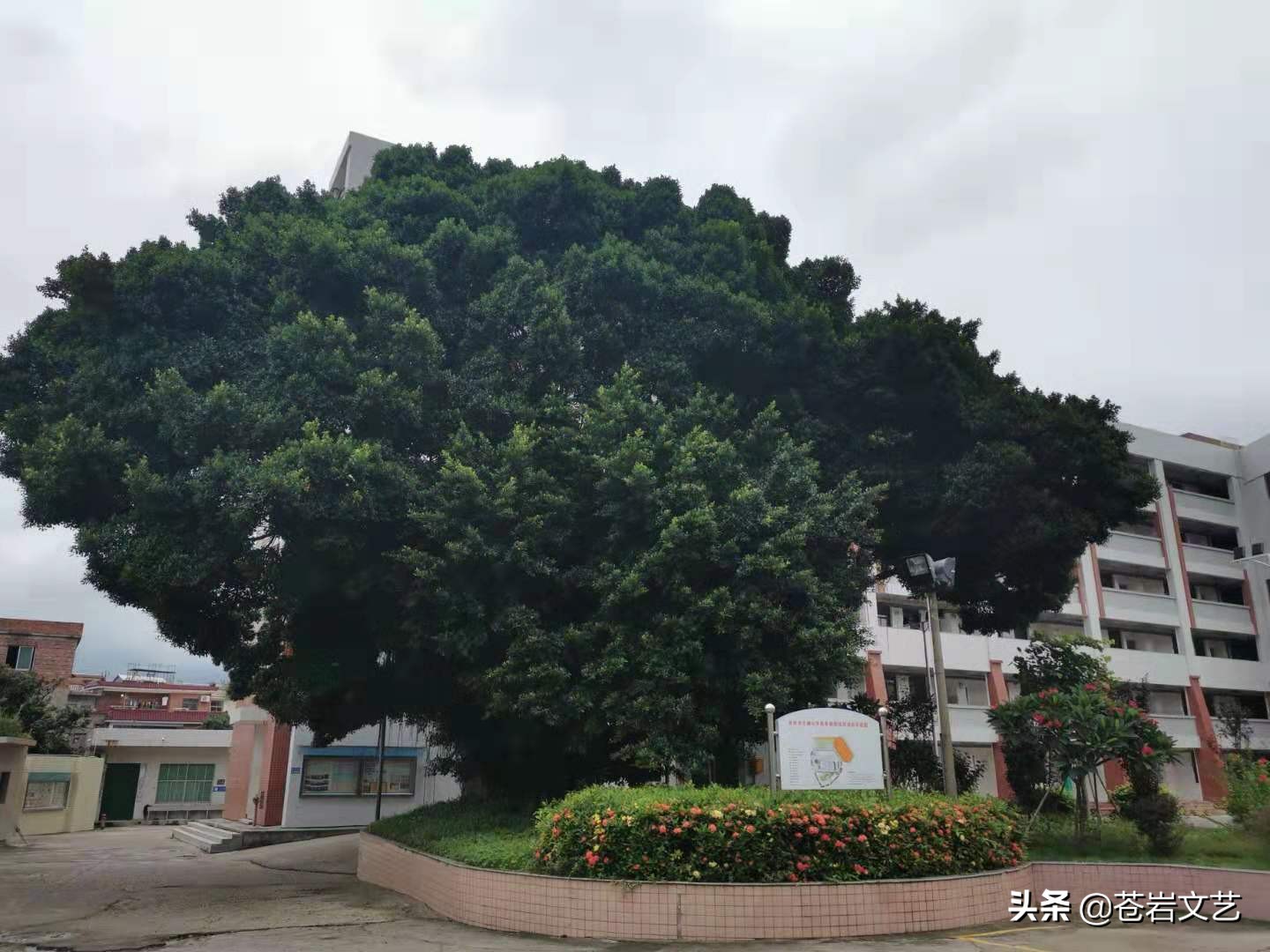 <html>
<head><title>502BadGateway</title></head>
<body>
<center><h1>502BadGateway</h1></center>
<hr><center>nginx</center>
</body>
</html>
<!--apaddingtodisableMSIEandChromefriendlyerrorpage-->
<!--apaddingtodisableMSIEandChromefriendlyerrorpage-->
<!--apaddingtodisableMSIEandChromefriendlyerrorpage-->
<!--apaddingtodisableMSIEandChromefriendlyerrorpage-->
<!--apaddingtodisableMSIEandChromefriendlyerrorpage-->
<!--apaddingtodisableMSIEandChromefriendlyerrorpage-->
