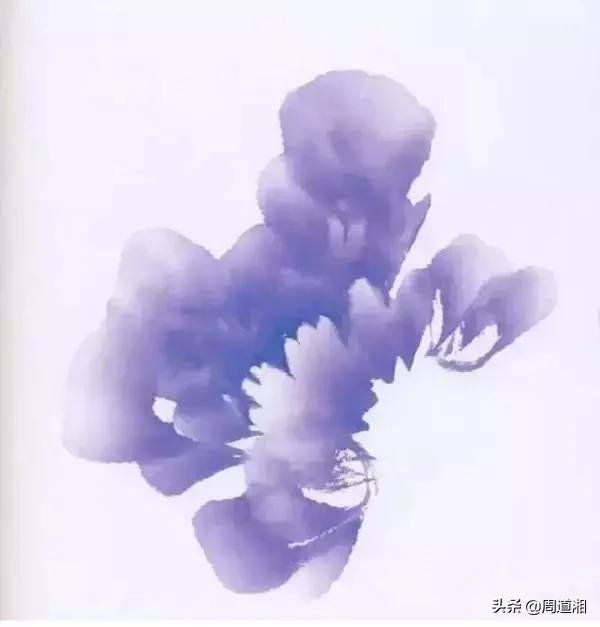 九种牡丹调色法,牡丹九大色系图片大全