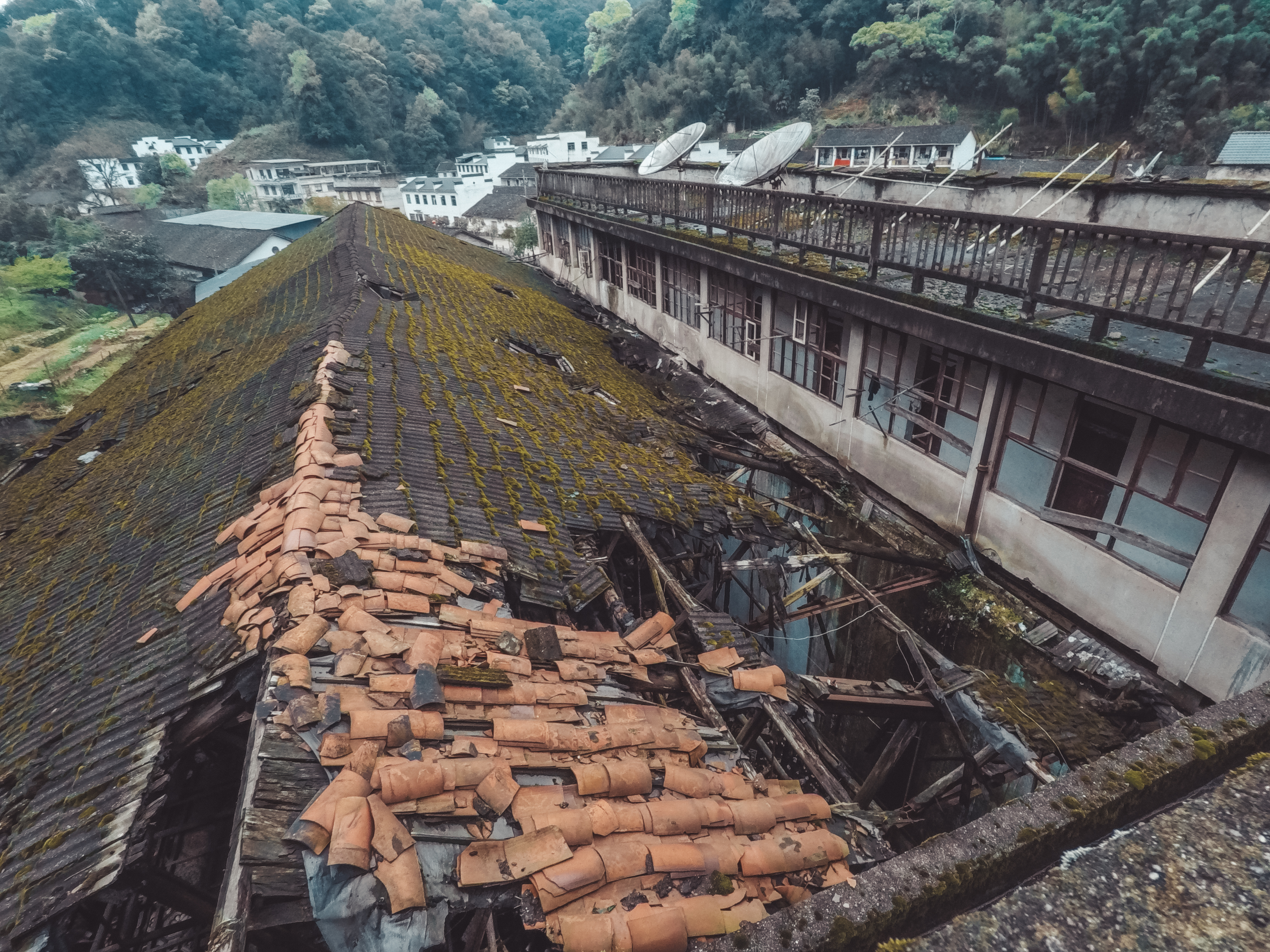 绿水青山的垦殖场