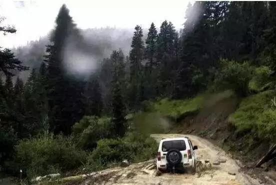 爆胎真的有多可怕,提醒爆胎隐患大轮胎安全需注意