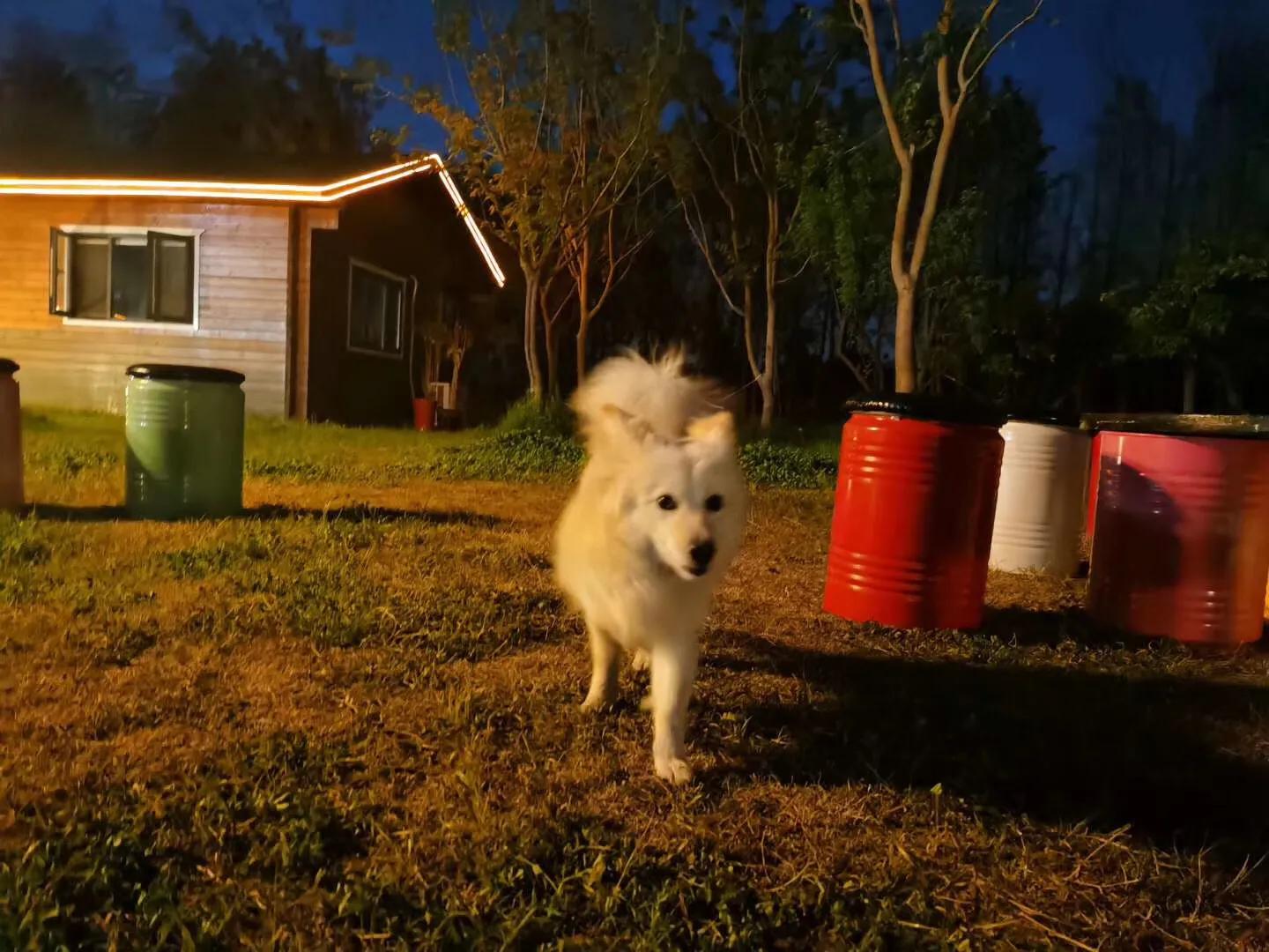 扬州小隐庄园,扬州古城区小院
