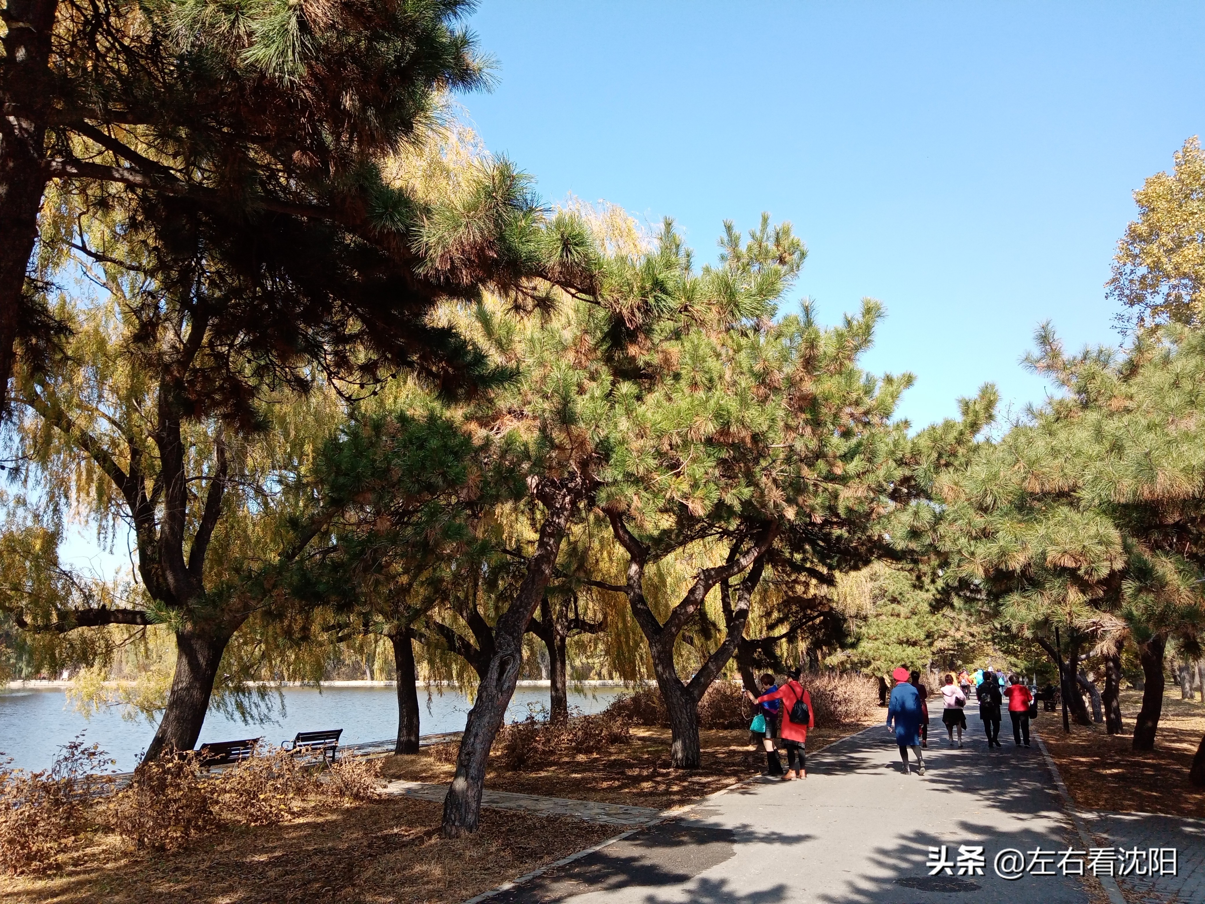 秋季沈阳北陵公园有啥好玩的,漫步沈阳北陵公园湖水边