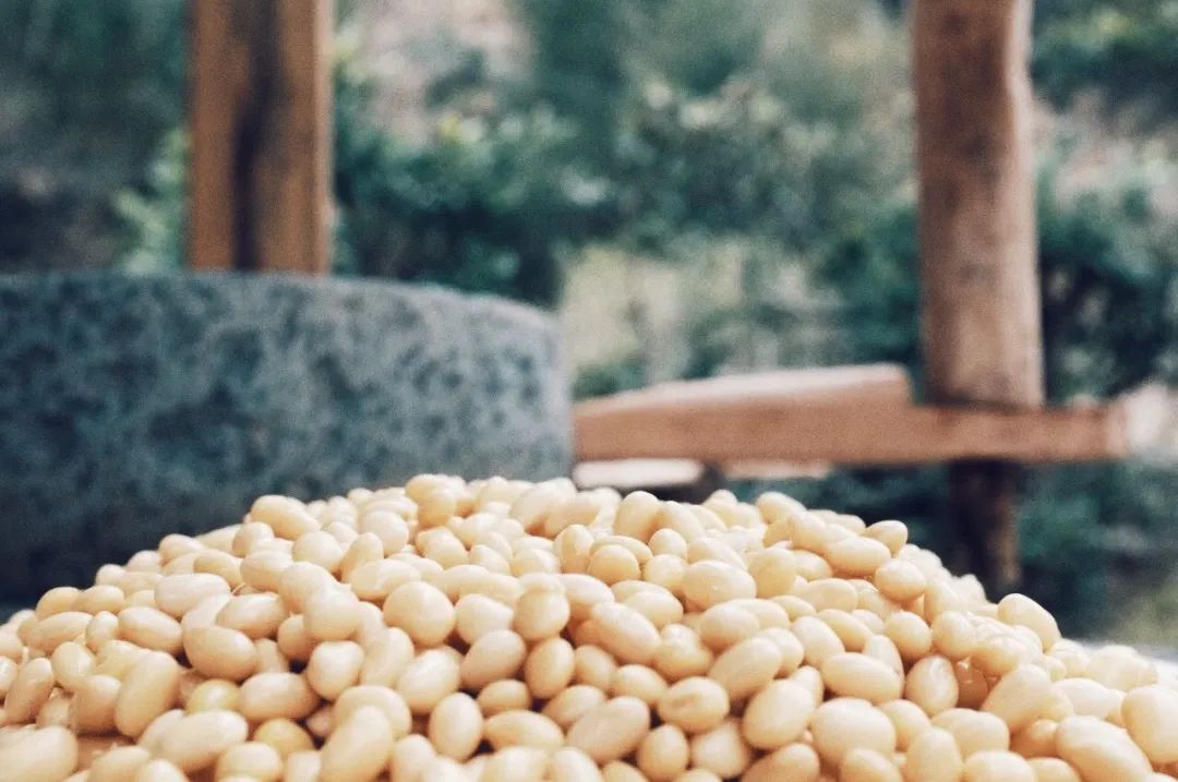 民宿管家招募,民宿管家点亮乡野生活的魔法师