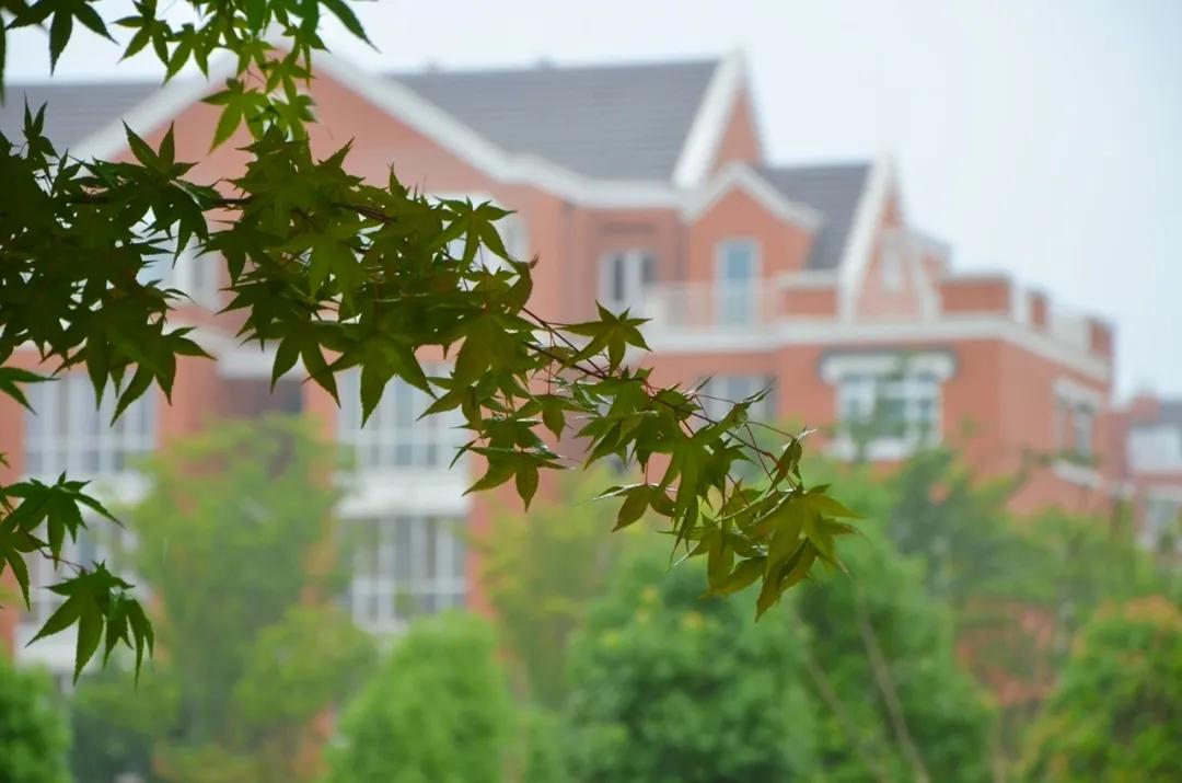 梅雨时节的铁山寺,这里藏着最美的风景