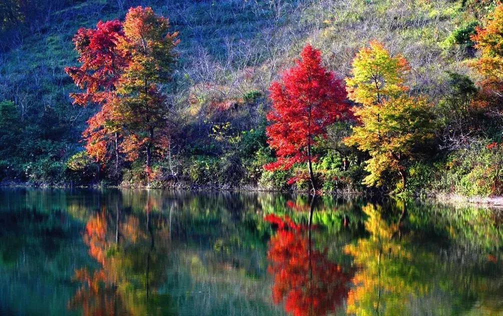 广西最想去的地方,广西最想去的8个地方